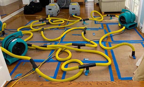 Professional Crawl Space Water Removal technician working in Aurora, TX